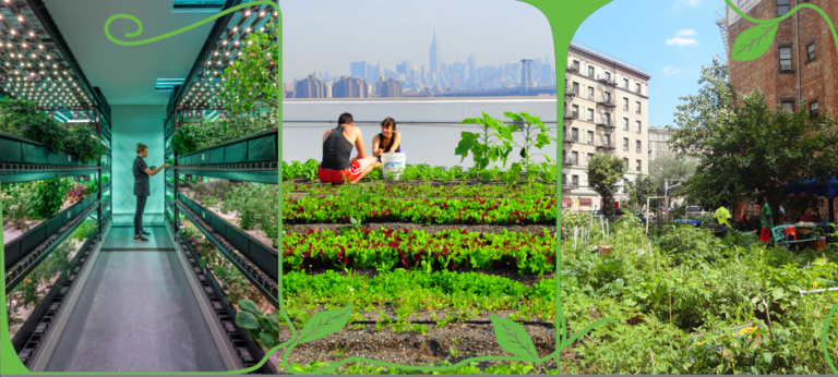 Urban Agriculture: Room to Grow